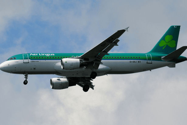 Aer Lingus emergency landing