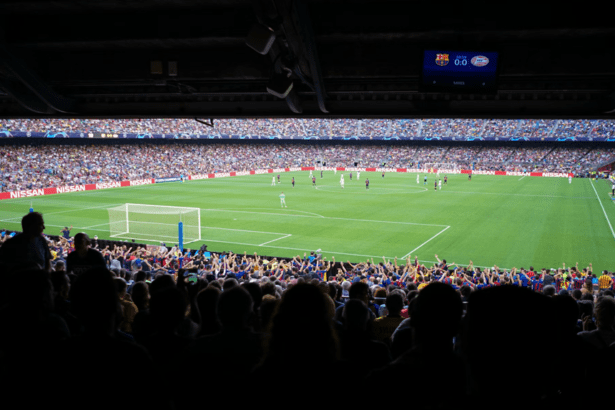 UEFA Champions League 2024-2025 Standings and Results