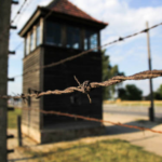 Auschwitz Liberation survivors honoring history