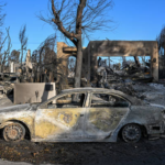 Chef Daron Anderson Searching Through Wildfire Ruins