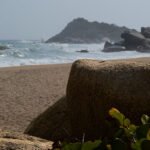 Mysterious beach balls wash up on Sydney beaches