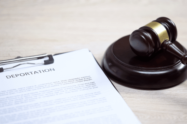 Deportation order gavel