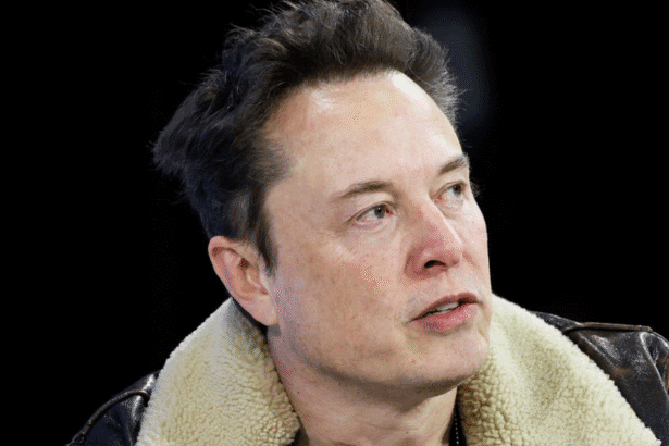 Elon Musk exits government