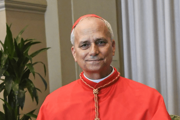 Pope Leo XIV portrait