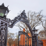 Harvard international student crisis