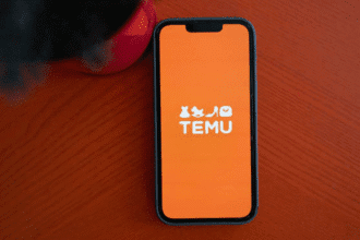 Temu stock decline