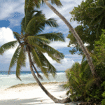 Chagos sovereignty agreement