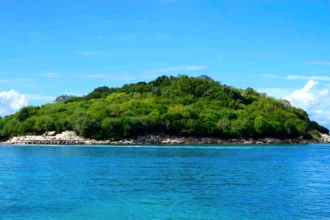 Lush green island surrounded by clear blue water in the South China Sea