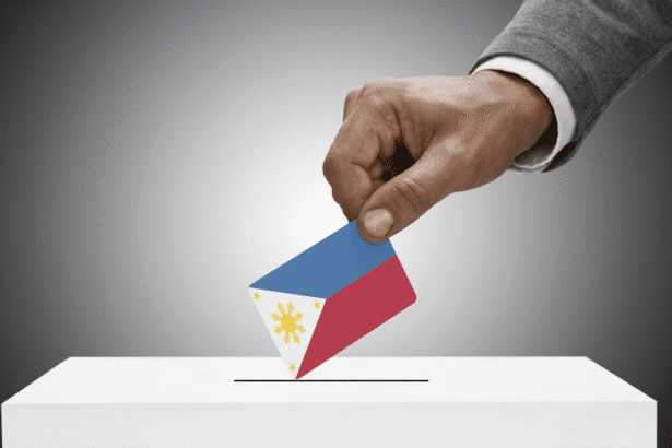 Philippine 2025 election scene