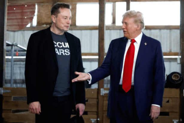 Musk Trump fallout