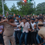 Crowd chaos at parade