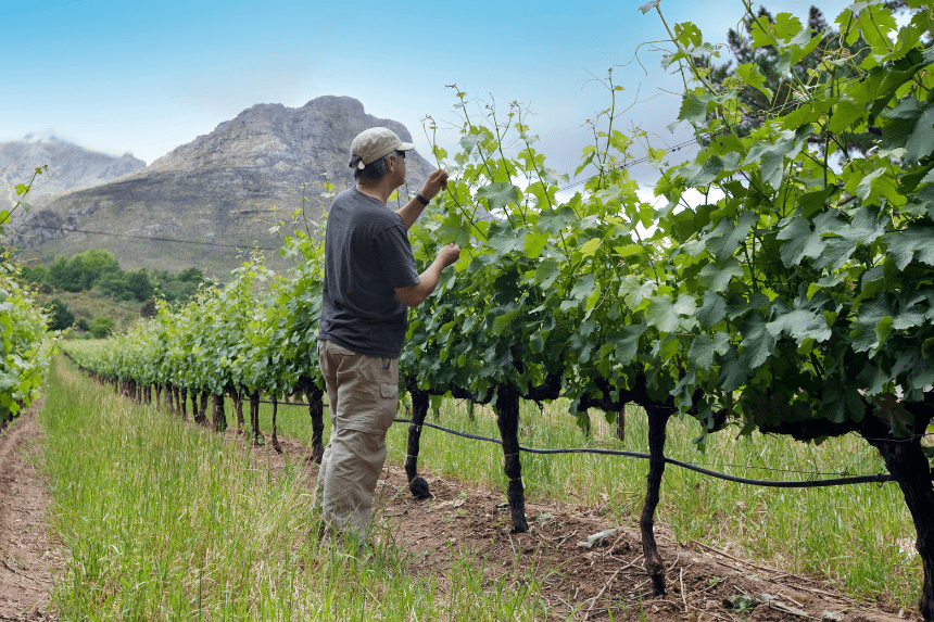 South Africa land reform