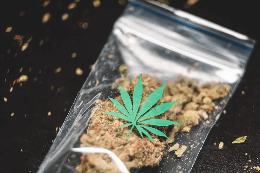 Thai cannabis crackdown begins