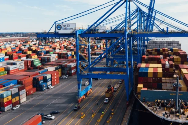 UK trade policy strategy