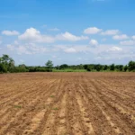 Zimbabwe land compensation debate