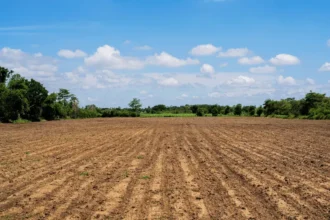 Zimbabwe land compensation debate