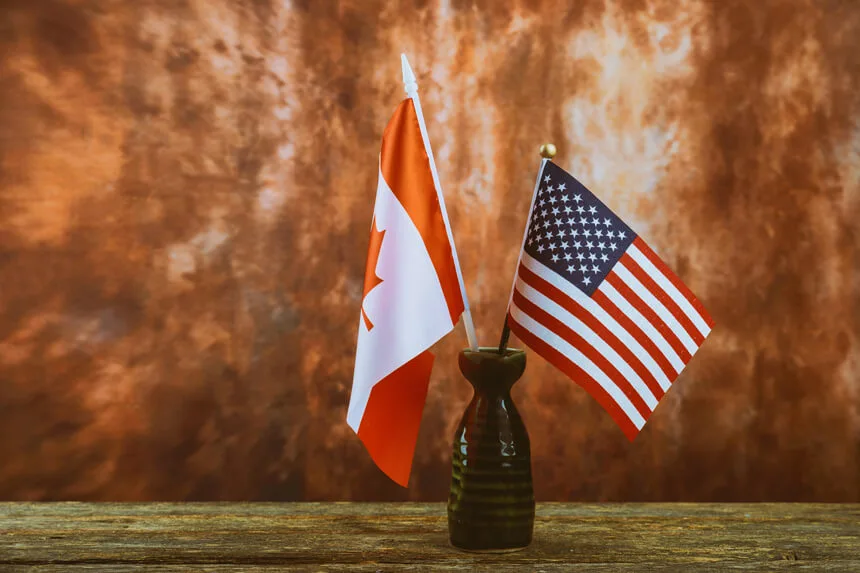 Small Canadian and American flags in a vase.