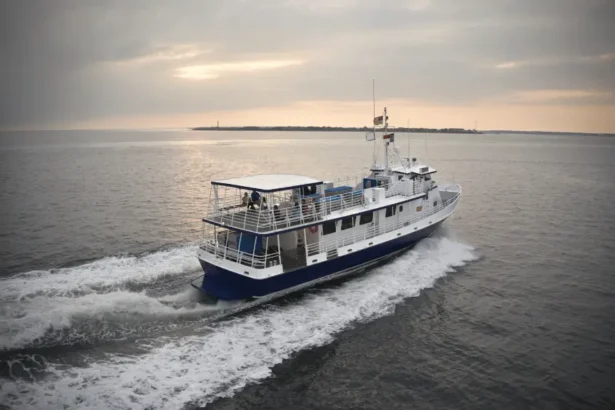 Bali ferry sinking rescue