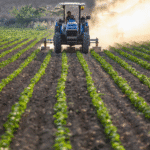 Kashmir heatwave impacts farming