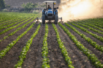 Kashmir heatwave impacts farming