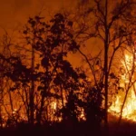 Crete wildfire emergency response