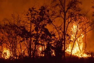 Crete wildfire emergency response