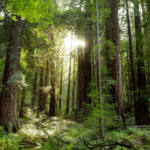 Mother and child rescued