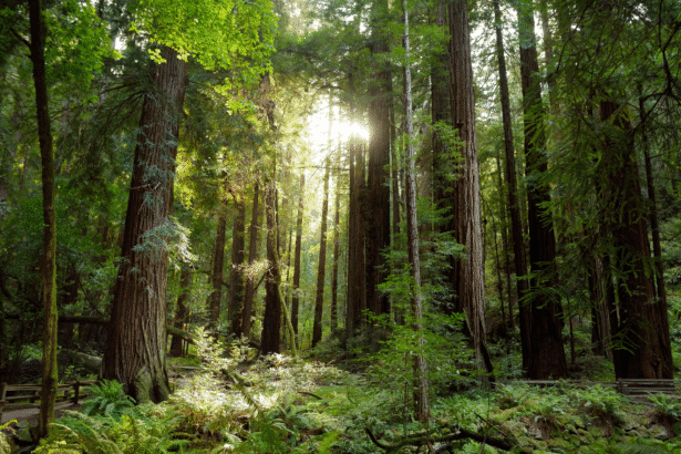 Mother and child rescued