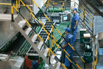 Trump tariffs affect Asia