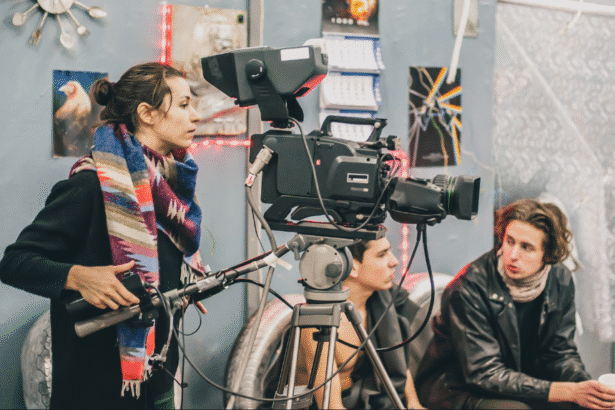 Irish film industry success