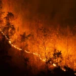 Manitoba wildfire crisis response