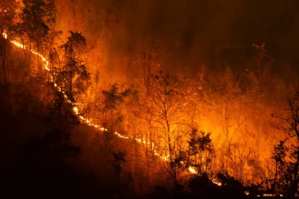 Manitoba wildfire crisis response