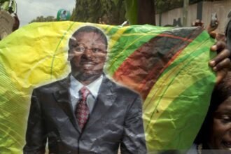 Togo constitutional protest crowd