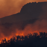 Raging Greece Turkey wildfires