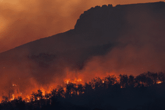 Raging Greece Turkey wildfires