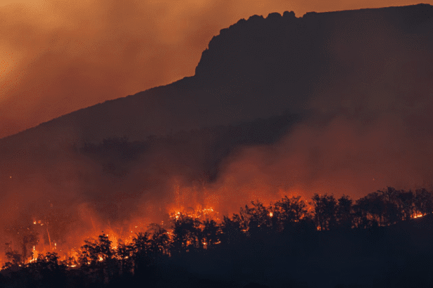 Raging Greece Turkey wildfires