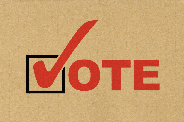 Taiwan recall vote protest