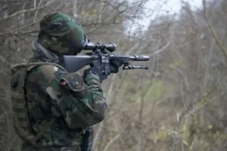 US Halts Ukraine Weapons