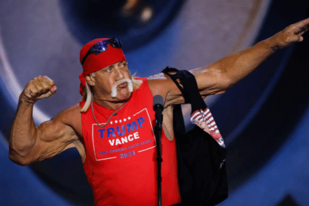 Hulk Hogan Tribute Image