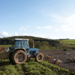 South Africa murder case