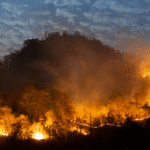 Massive wildfire in France