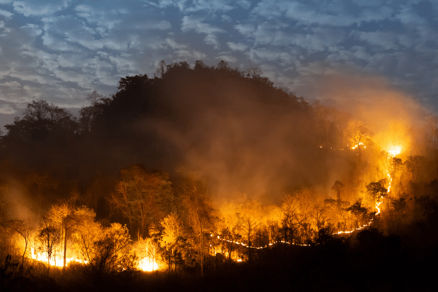 Massive wildfire in France