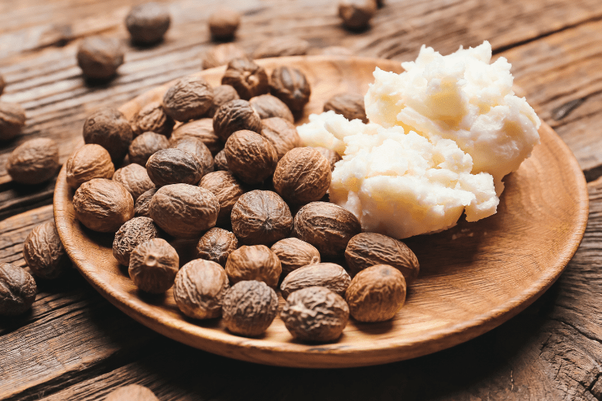 Nigeria shea nut ban