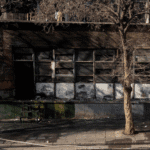 Johannesburg fire survivors