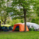 Trump Addresses DC Homelessness