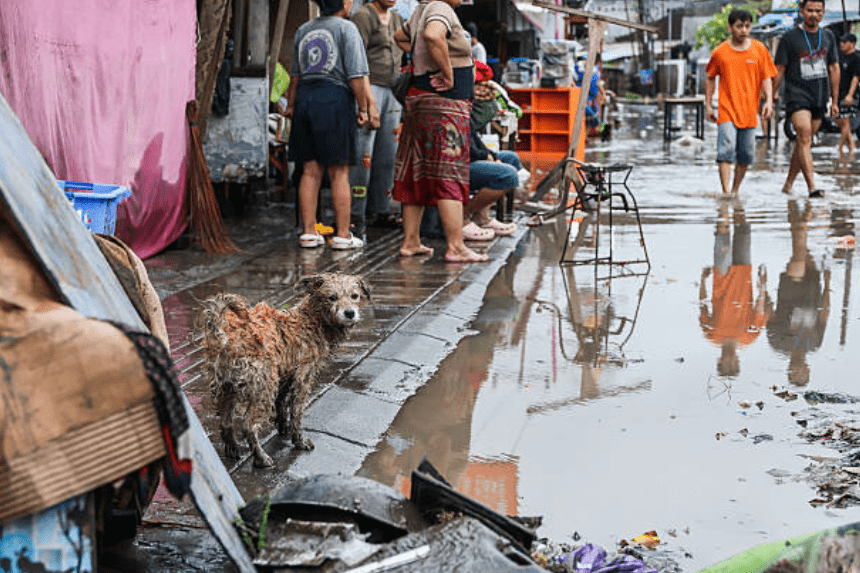 Bali flash flood disaster