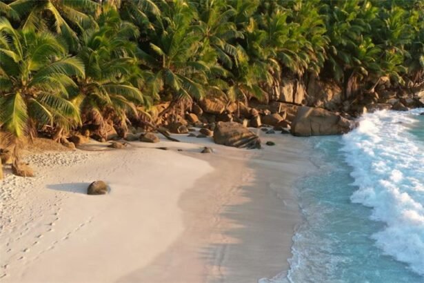 Assumption Island controversy Seychelles