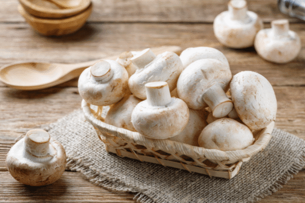 Mushroom Murder Conviction