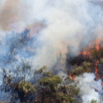 Canada Wildfire Smoke