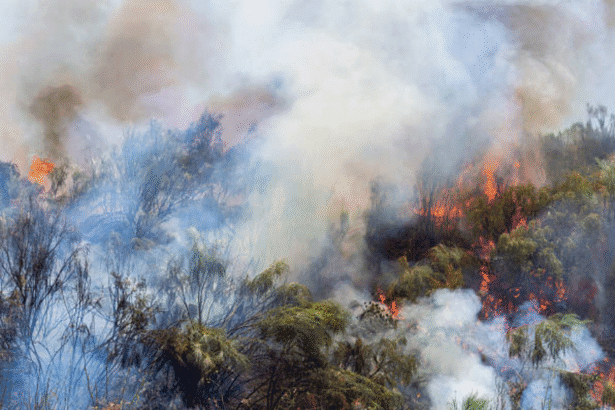 Canada Wildfire Smoke